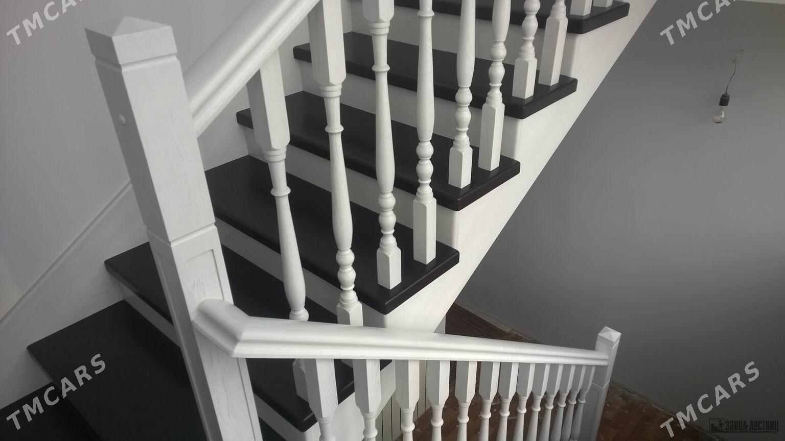 Lesnissa perilaЛесницый перила - Aşgabat - img 7