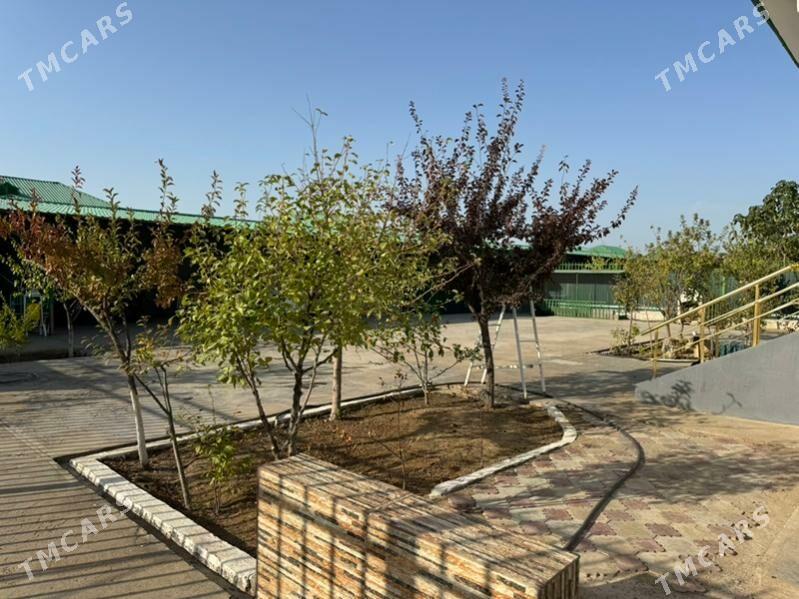 Taze Zaman - Тязе заман - img 2