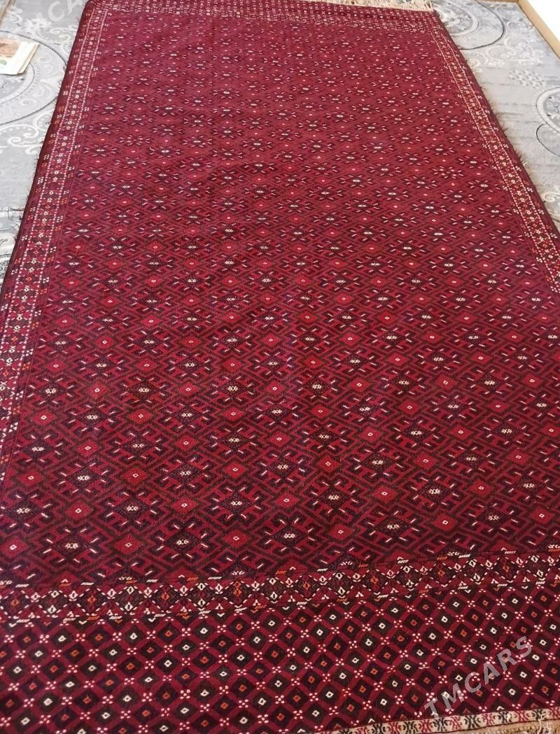 Palas - Balkanabat - img 1