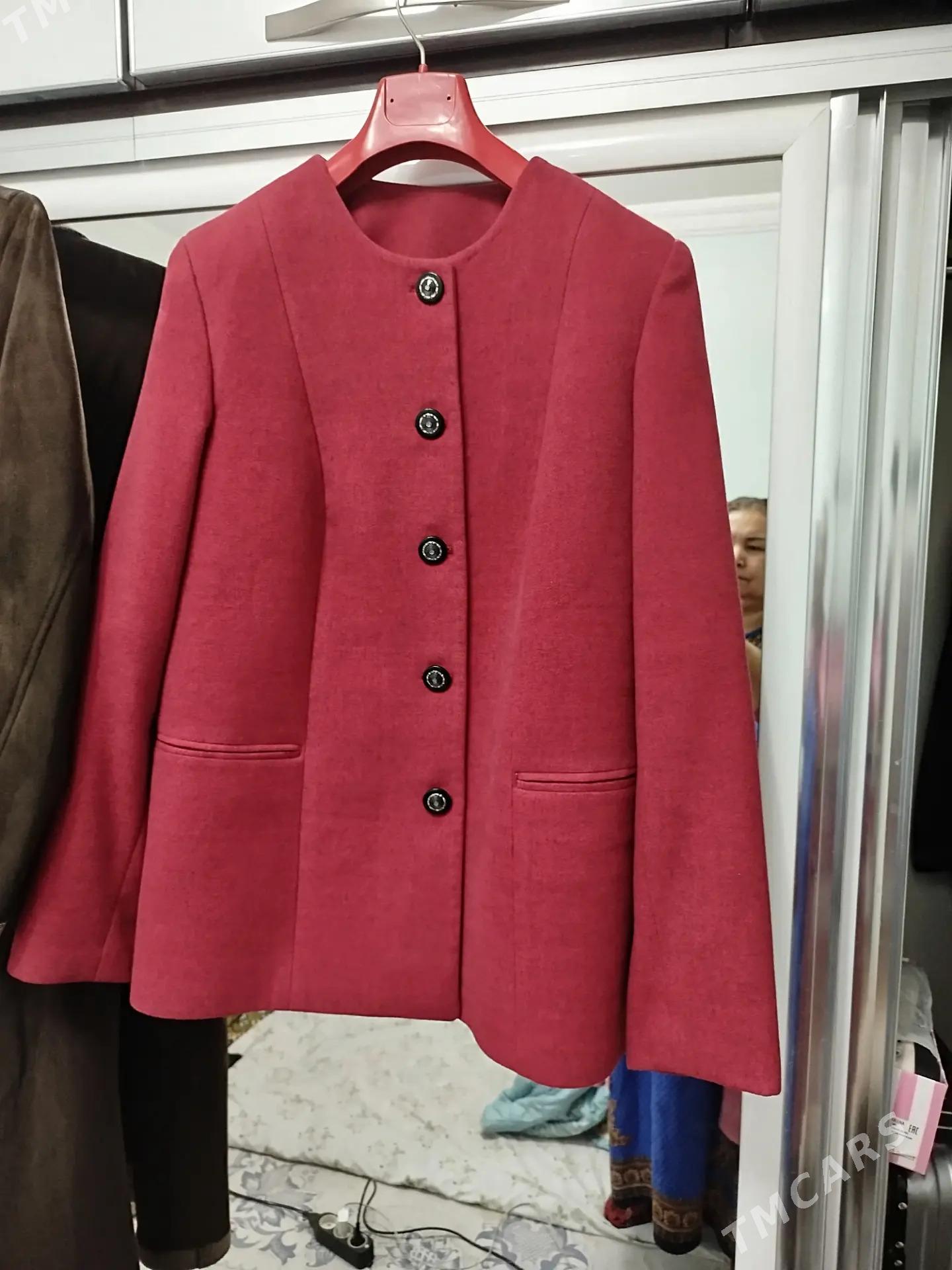 arassaja zatlar - Daşoguz - img 5