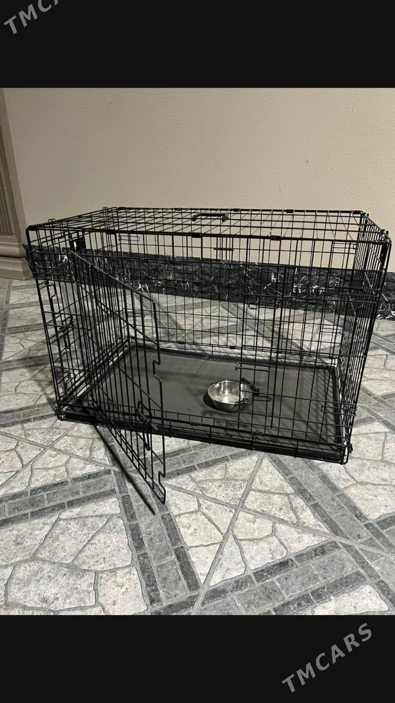 IT ÝATAK - Ашхабад - img 1