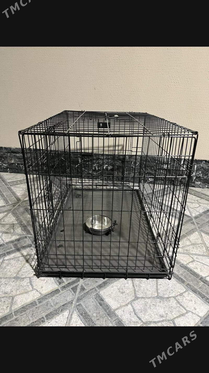 IT ÝATAK - Ашхабад - img 3