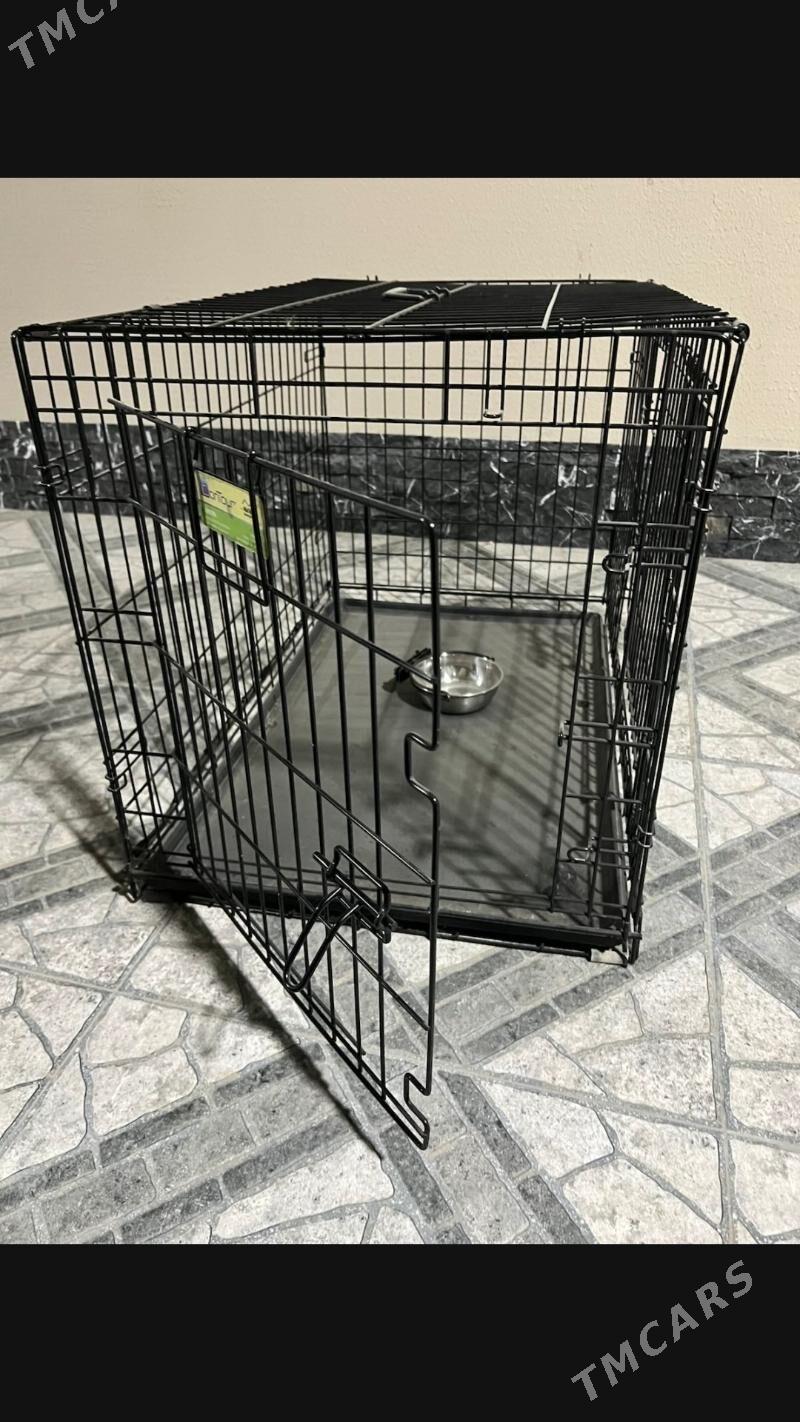 IT ÝATAK - Ашхабад - img 2