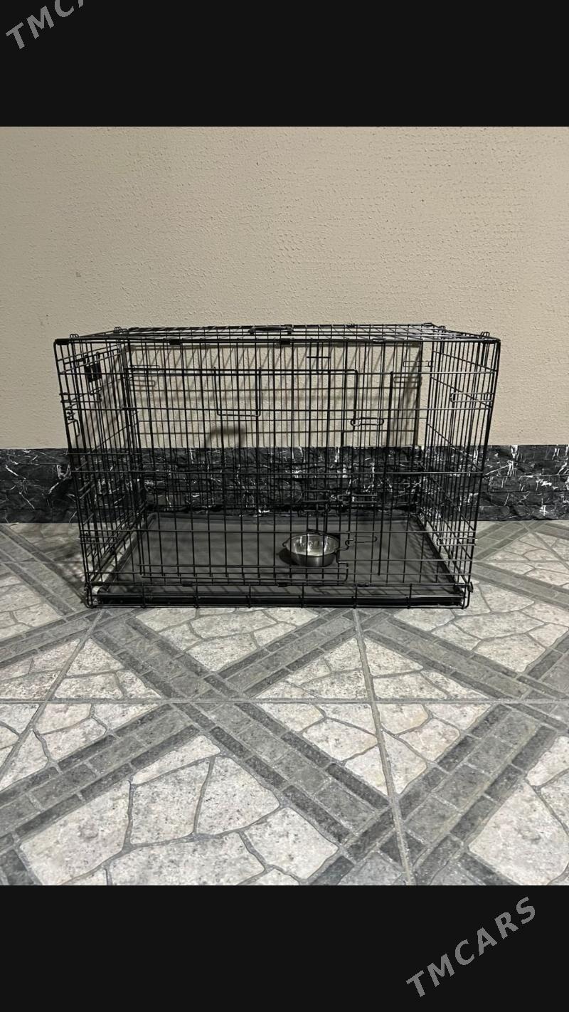 IT ÝATAK - Ашхабад - img 4