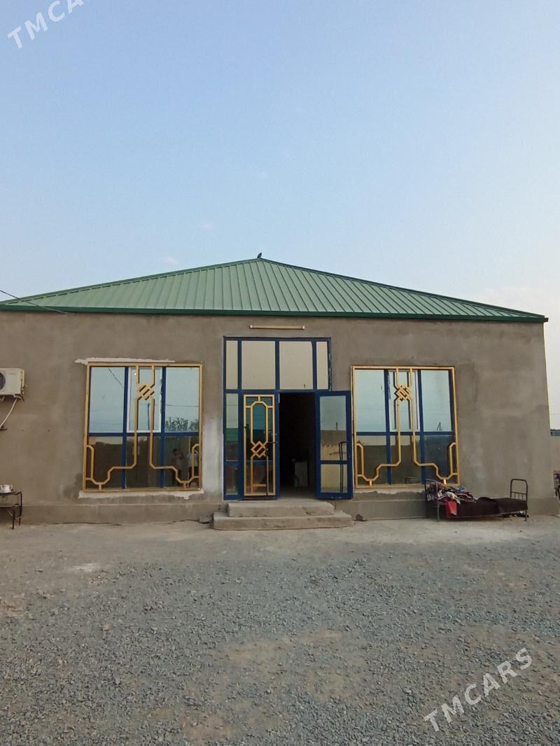 Satlyk Gurtly - Aşgabat - img 1