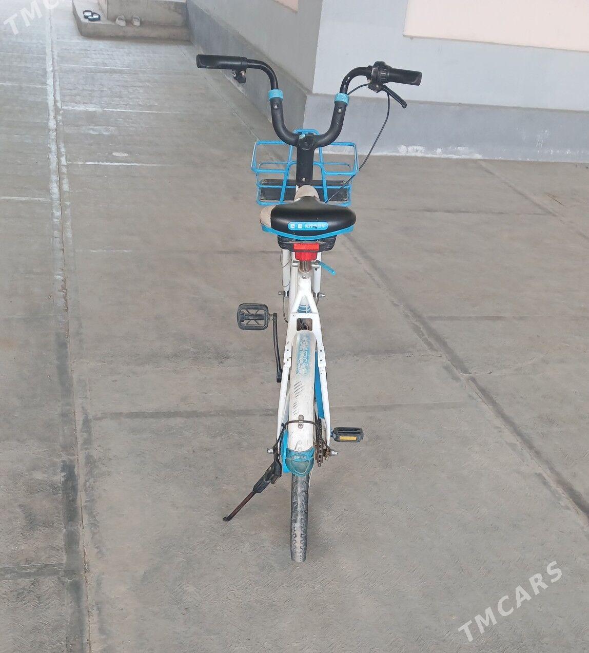 TIGIR YAPONYAÑKY  ARASAJA YAGD - Чоганлы - img 7