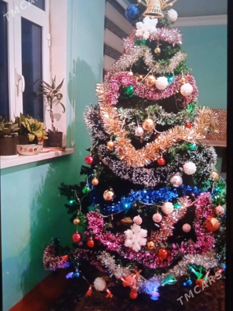 TAZE YIL ARCASI - Гаудан "Б" - img 3