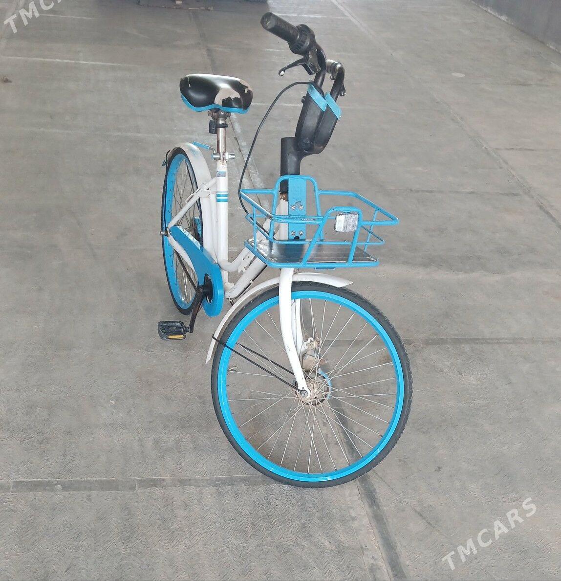 TIGIR YAPONYAÑKY  ARASAJA YAGD - Чоганлы - img 3