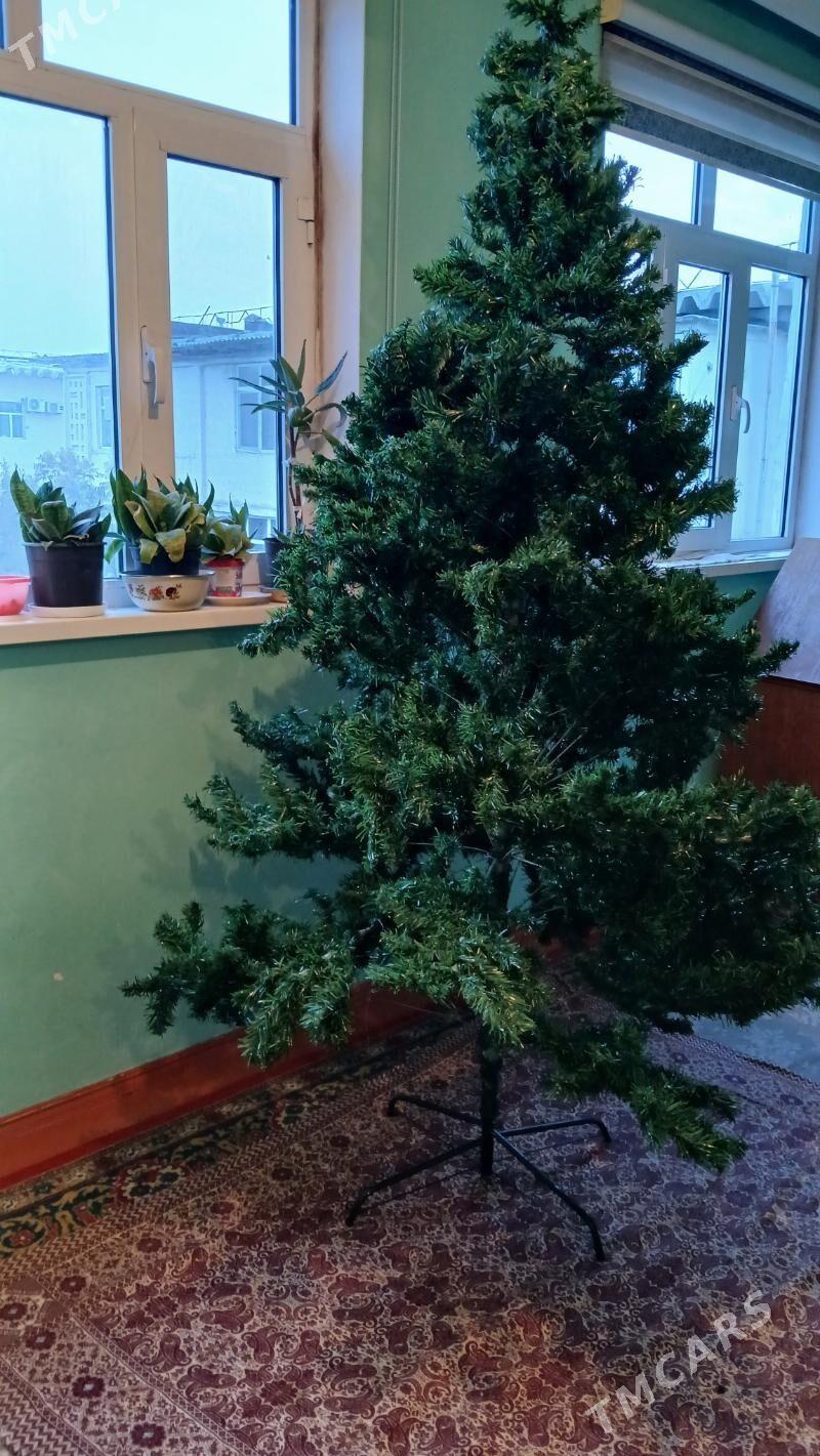 TAZE YIL ARCASI - Гаудан "Б" - img 2