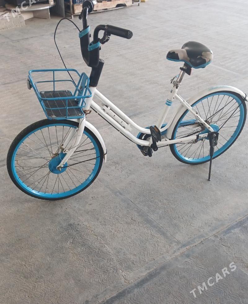 TIGIR YAPONYAÑKY  ARASAJA YAGD - Чоганлы - img 4