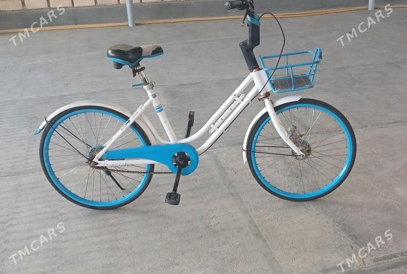 TIGIR YAPONYAÑKY  ARASAJA YAGD - Чоганлы - img 9