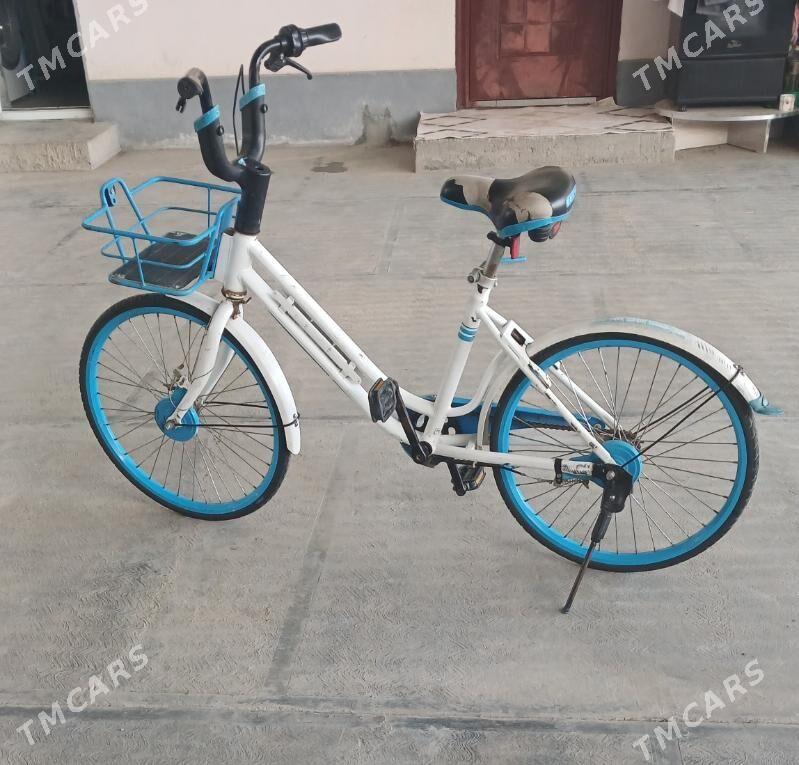 TIGIR YAPONYAÑKY  ARASAJA YAGD - Чоганлы - img 5