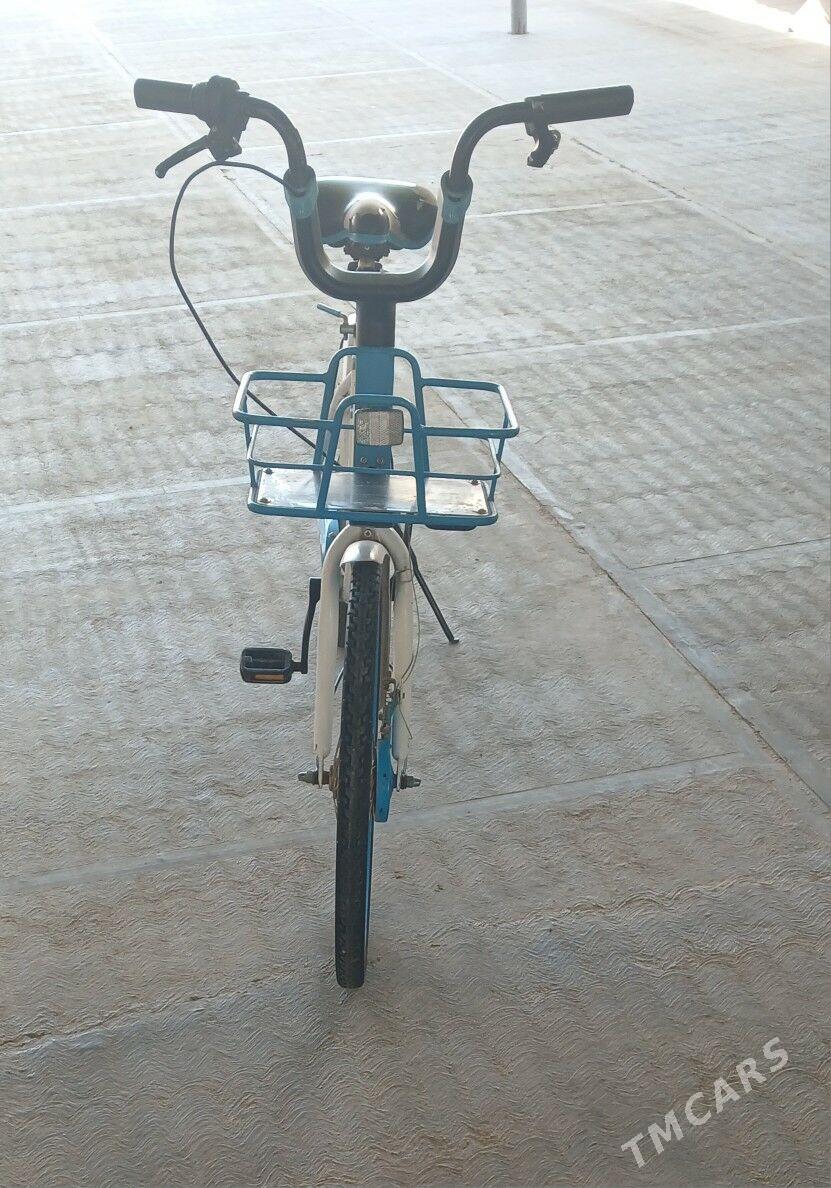 TIGIR YAPONYAÑKY  ARASAJA YAGD - Чоганлы - img 6