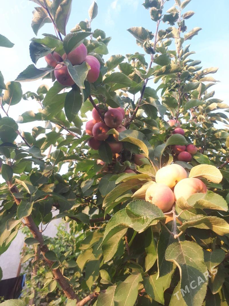 Miveli bag - Дашогуз - img 10