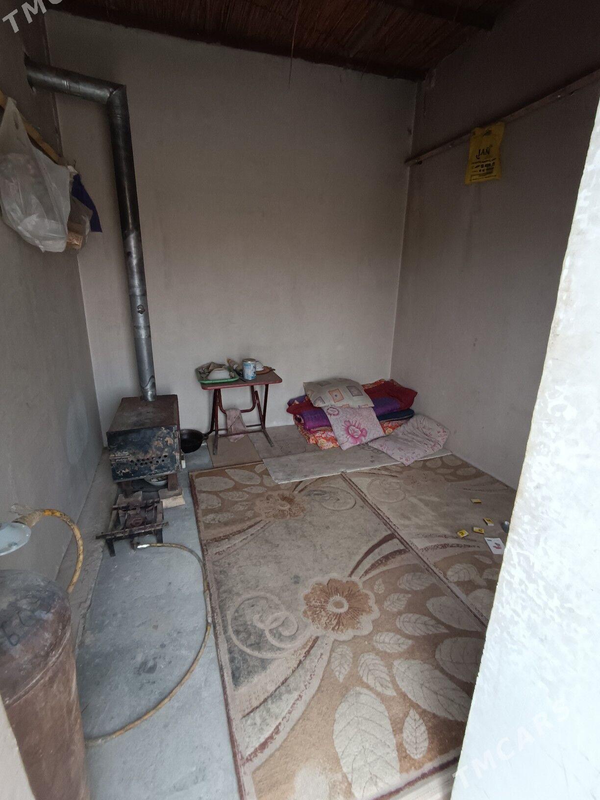 ferma - Mary - img 5