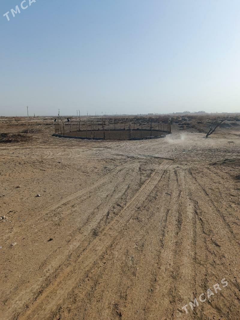 ferma - Mary - img 8