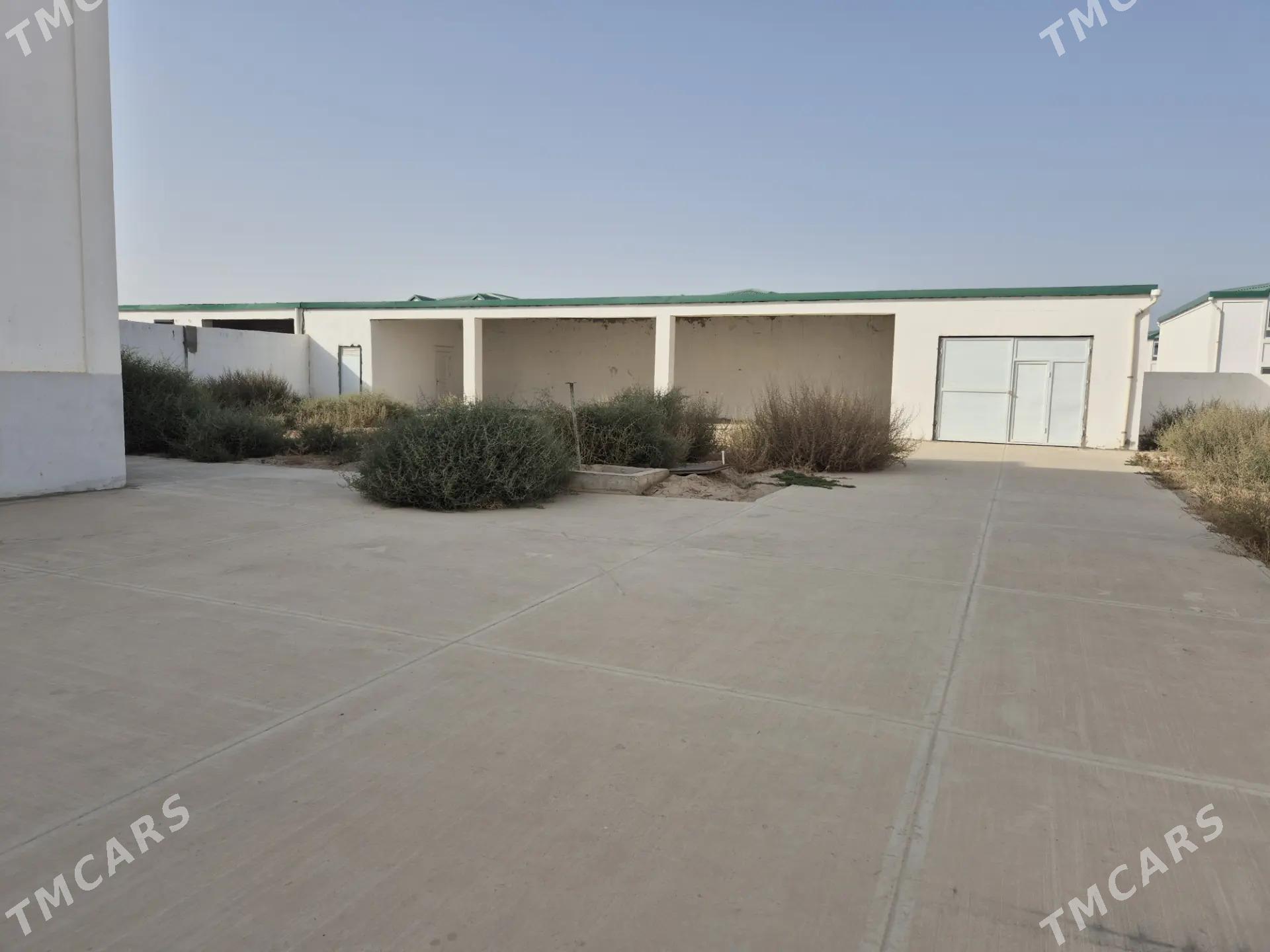 Satlyk Gami Kotej 12 Sotyk - Ак-Бугдайский этрап - img 4