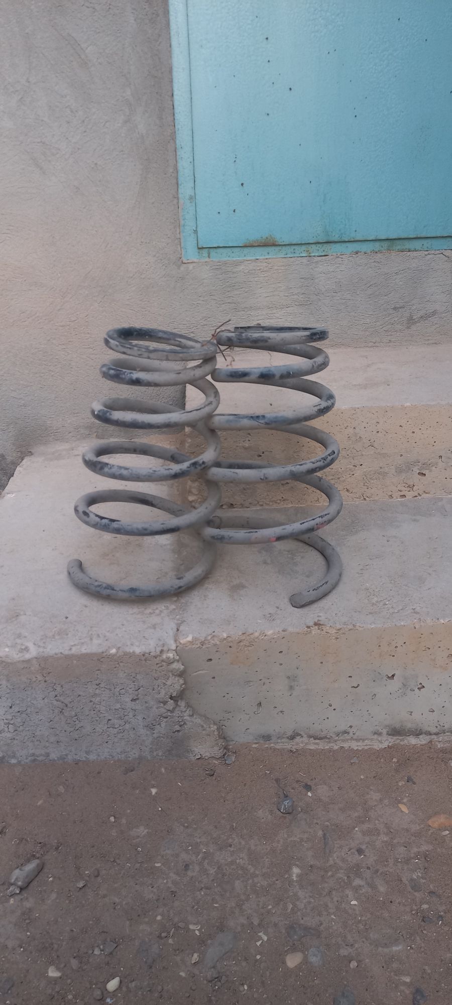 Purzin okiznki 200 TMT - Гумдаг - img 2