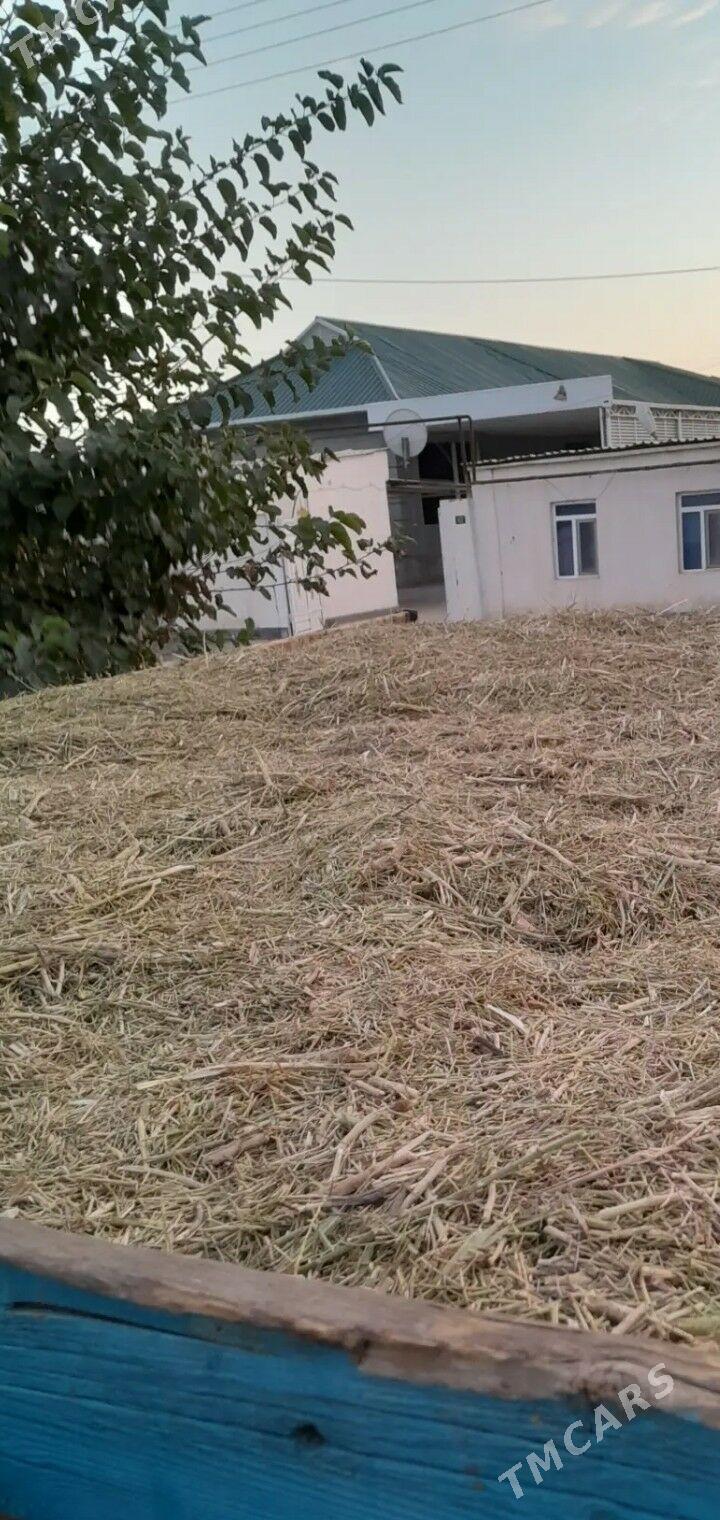 yannak - Gökdepe - img 1