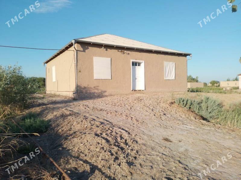 satlyk jay - Gurbansoltan Eje - img 2