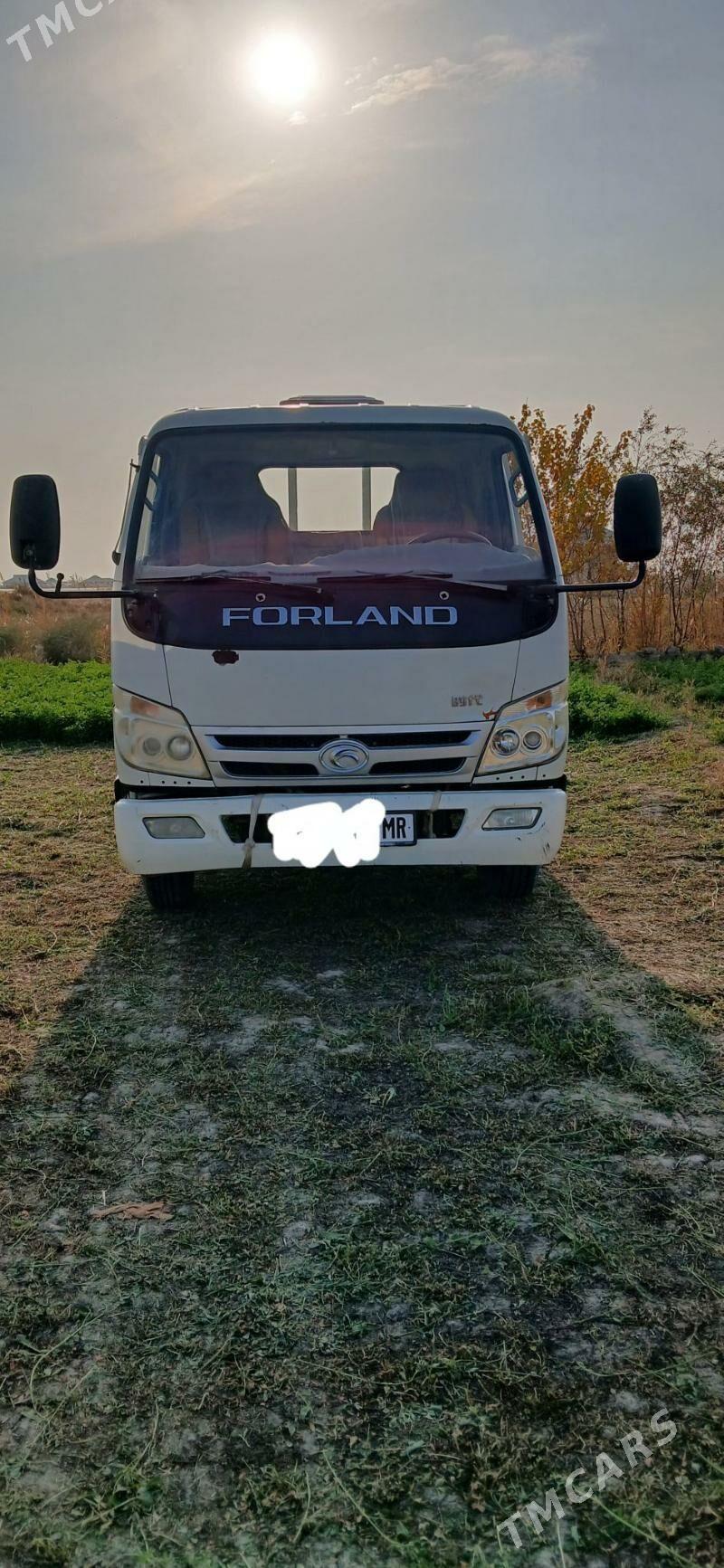 Forland H2 2015 - 140 000 TMT - Мары - img 2