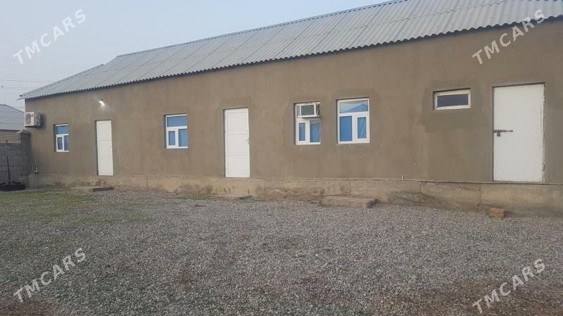 Satlyk jaý - Кака - img 1