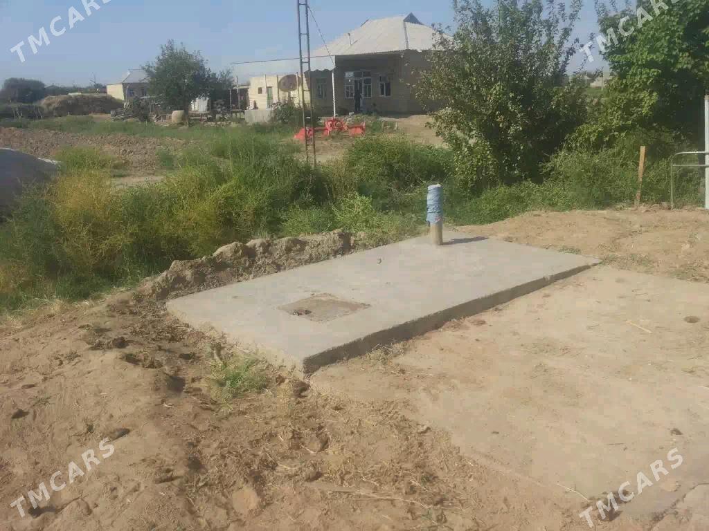 SATLYK JAY MELLEK - Каракумский этрап - img 4