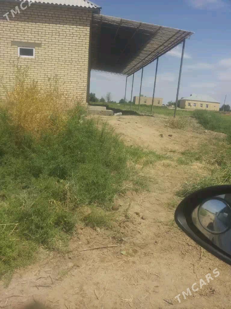 SATLYK JAY MELLEK - Каракумский этрап - img 5