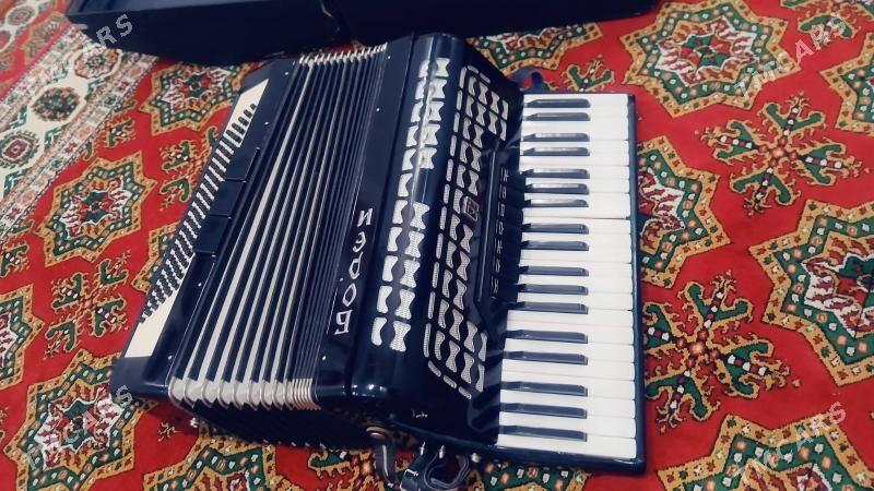 akardion - Daşoguz - img 5