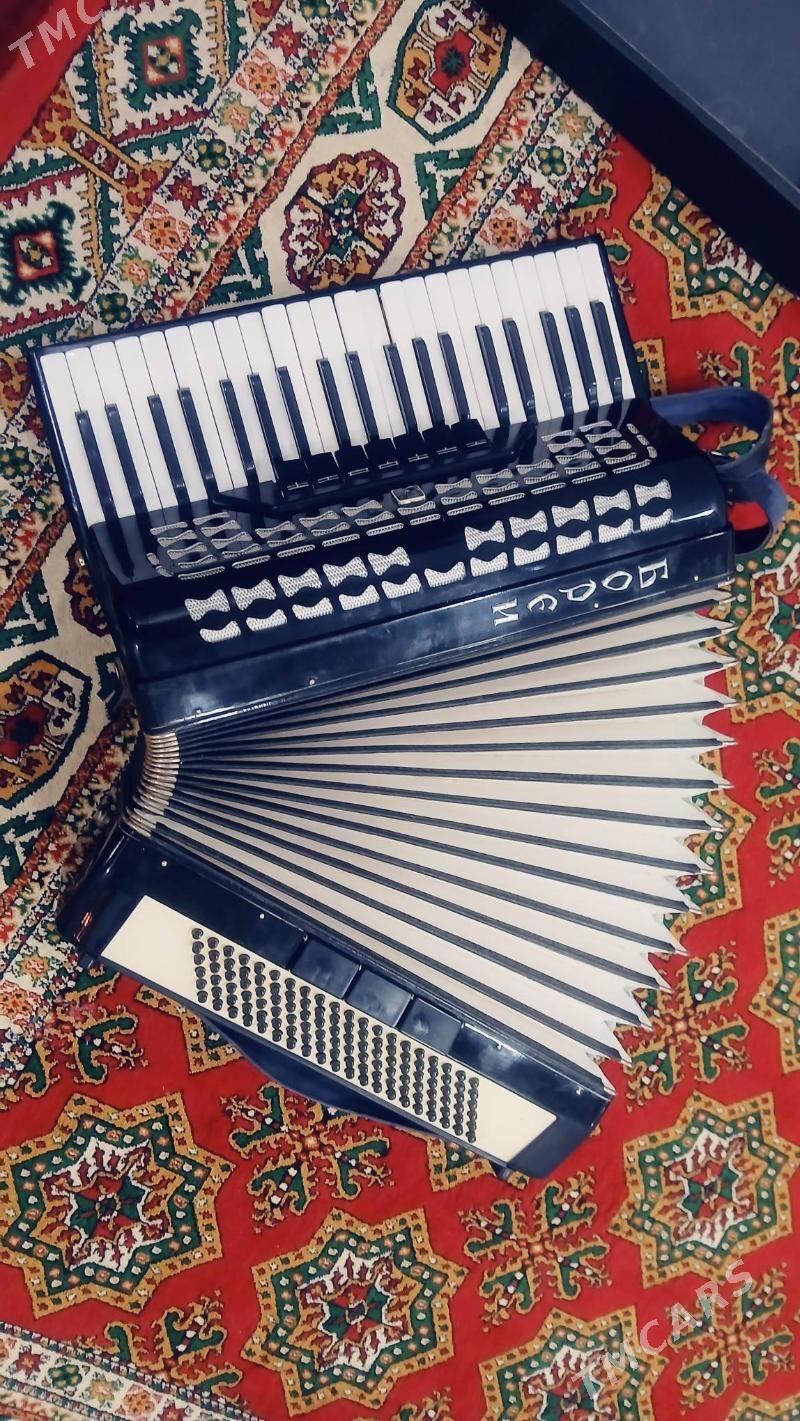 akardion - Daşoguz - img 7