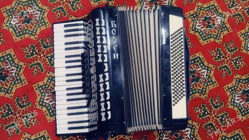 akardion - Daşoguz - img 3