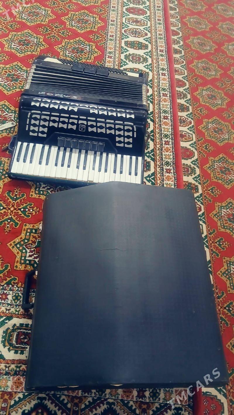 akardion - Daşoguz - img 9