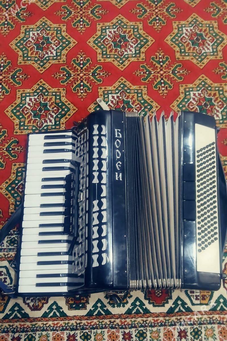 akardion - Daşoguz - img 8