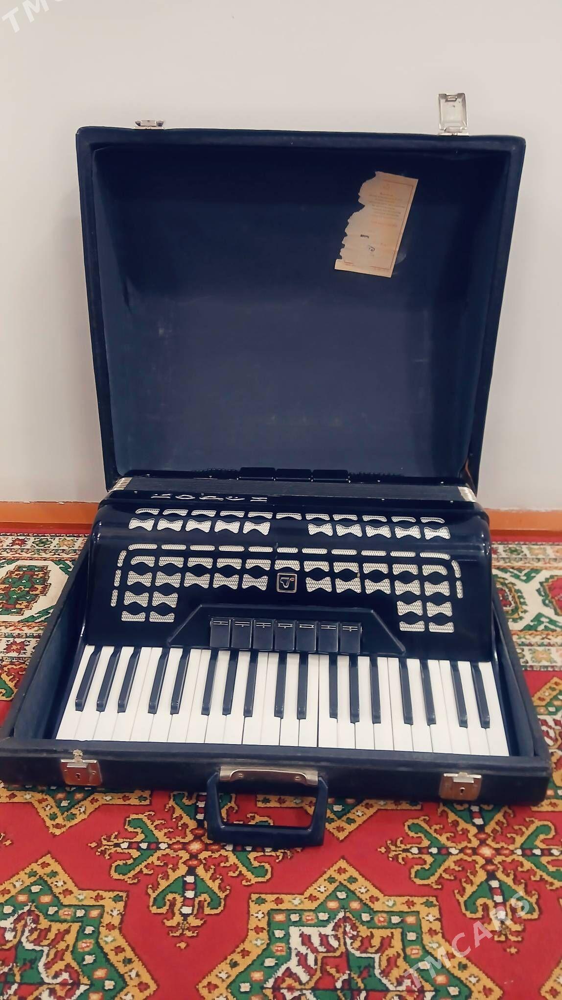 akardion - Daşoguz - img 6