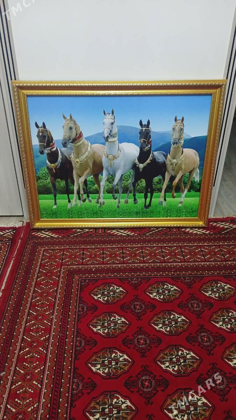 portret - Kaka - img 1