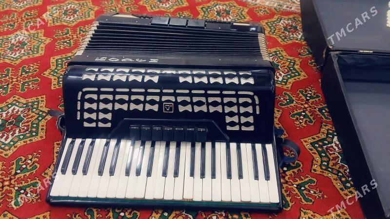 akardion - Daşoguz - img 4