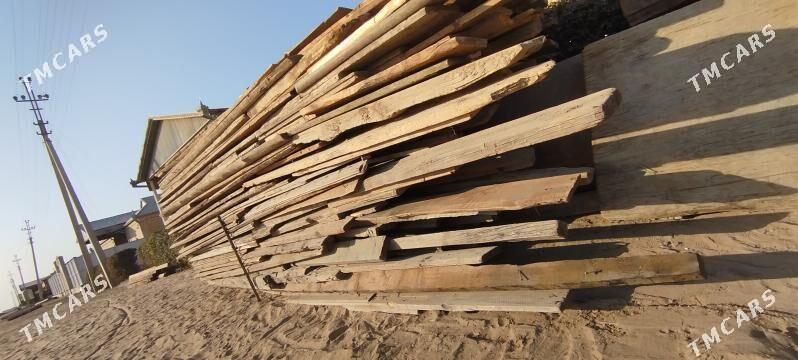 agaçlar - Murgap - img 2