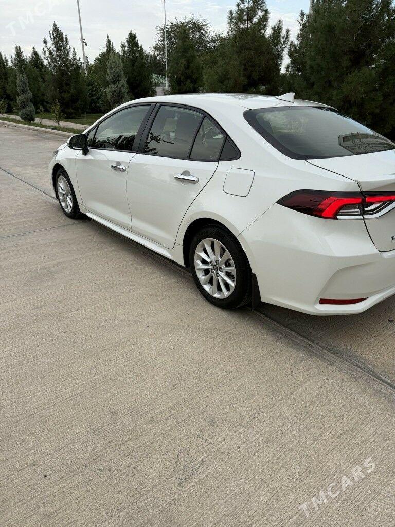 Toyota Corolla 2020 - 254 000 TMT - 16-й этап - img 2