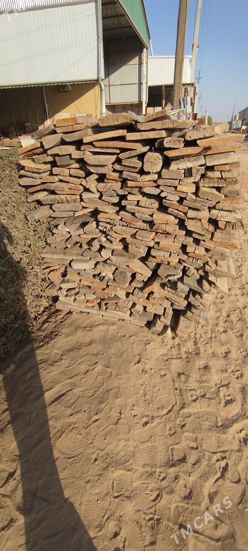 agaçlar - Murgap - img 4