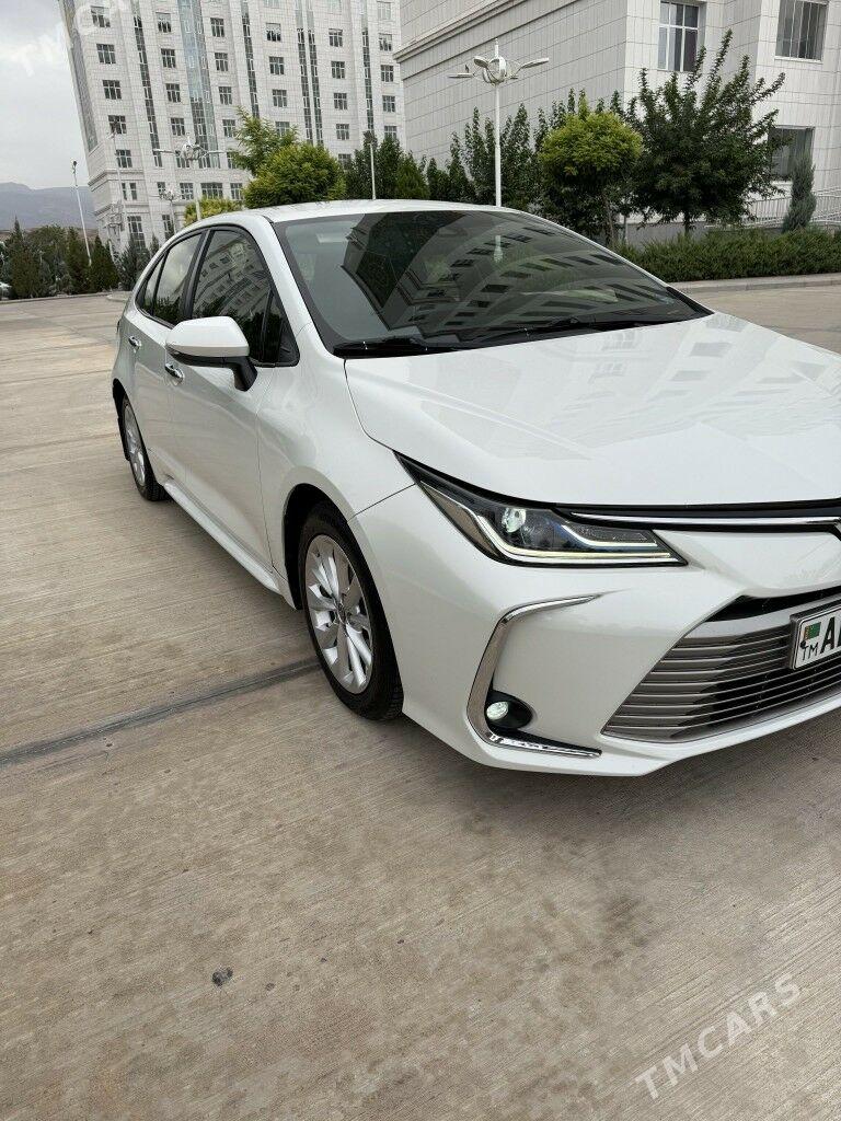 Toyota Corolla 2020 - 254 000 TMT - 16-й этап - img 5