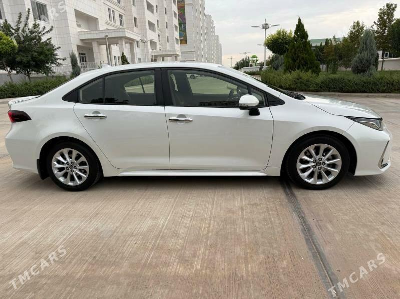 Toyota Corolla 2020 - 254 000 TMT - 16-й этап - img 3