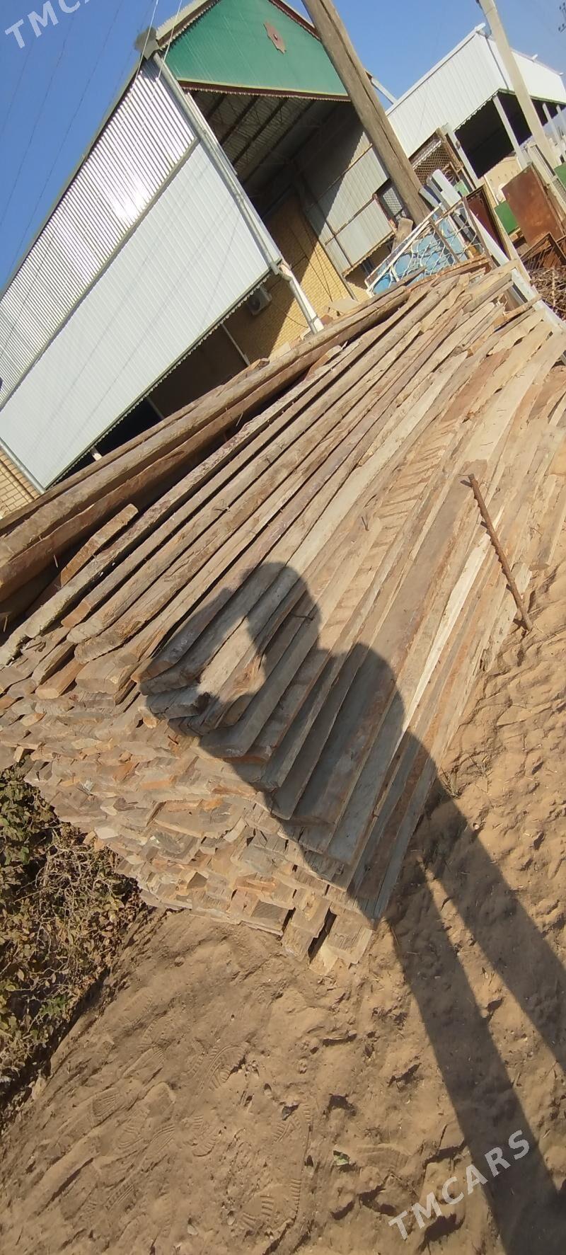 agaçlar - Murgap - img 1