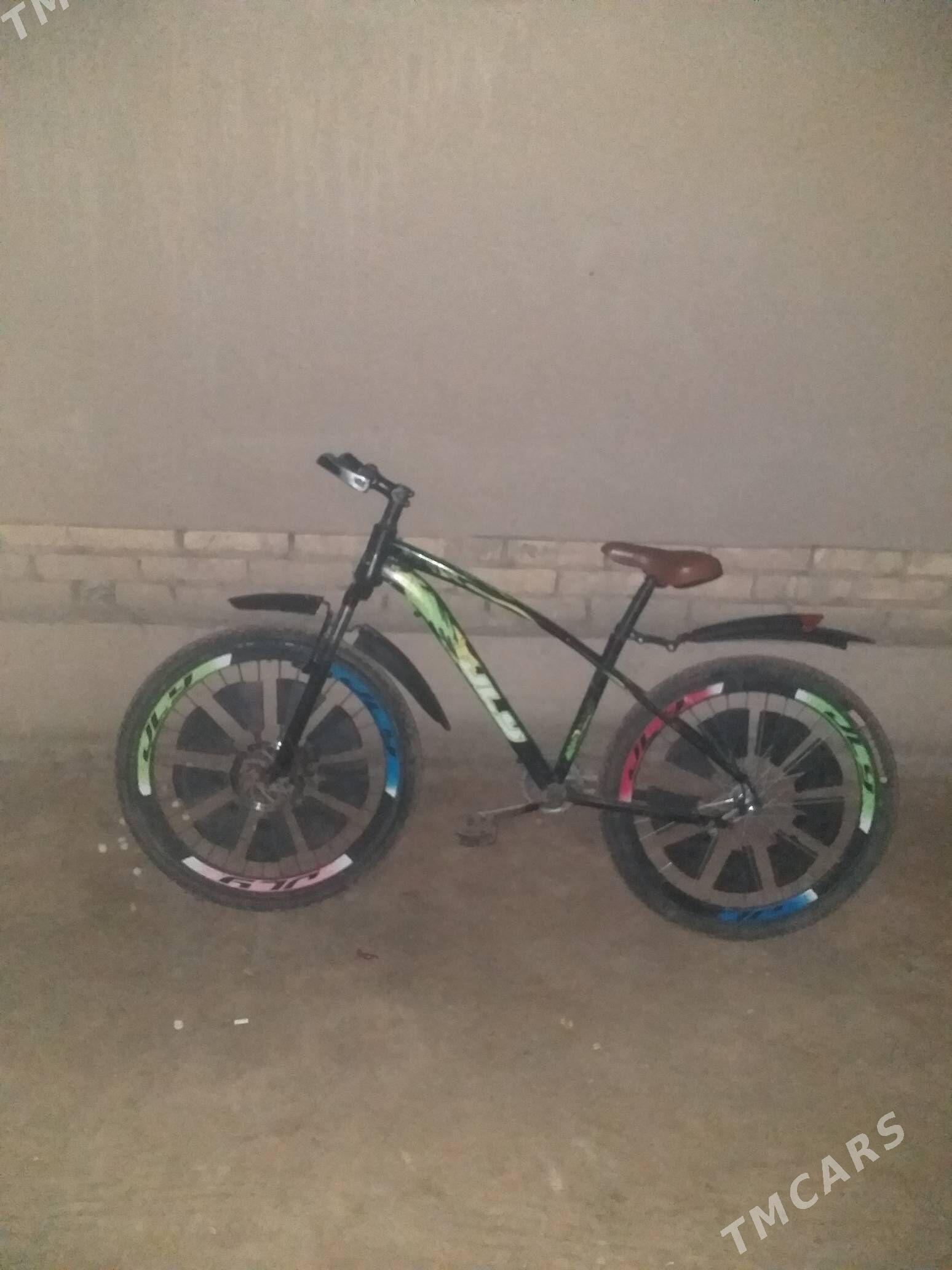 welossapet - Köneürgenç - img 1