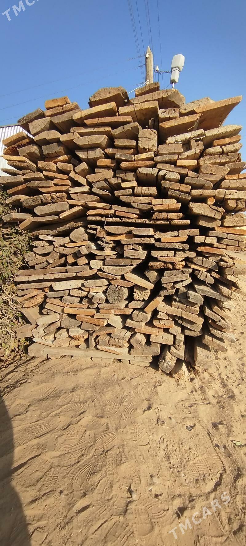 agaçlar - Murgap - img 3