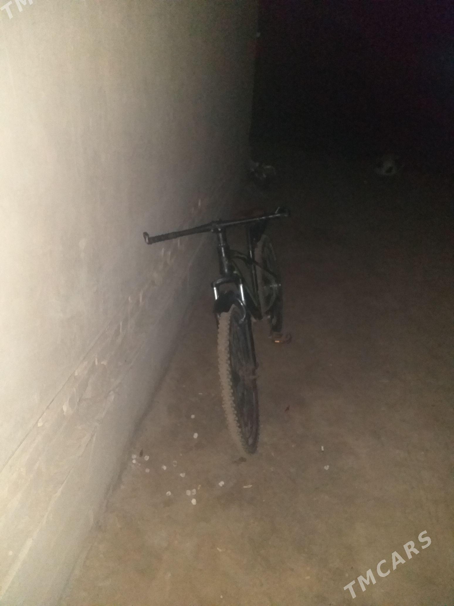 welossapet - Köneürgenç - img 2