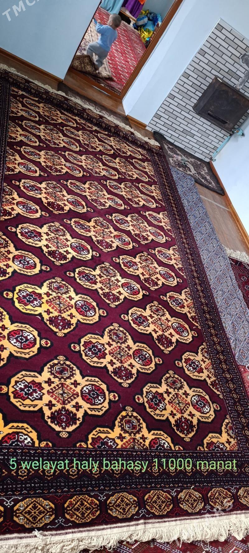 Yaly türkmen haly - Gumdag - img 4