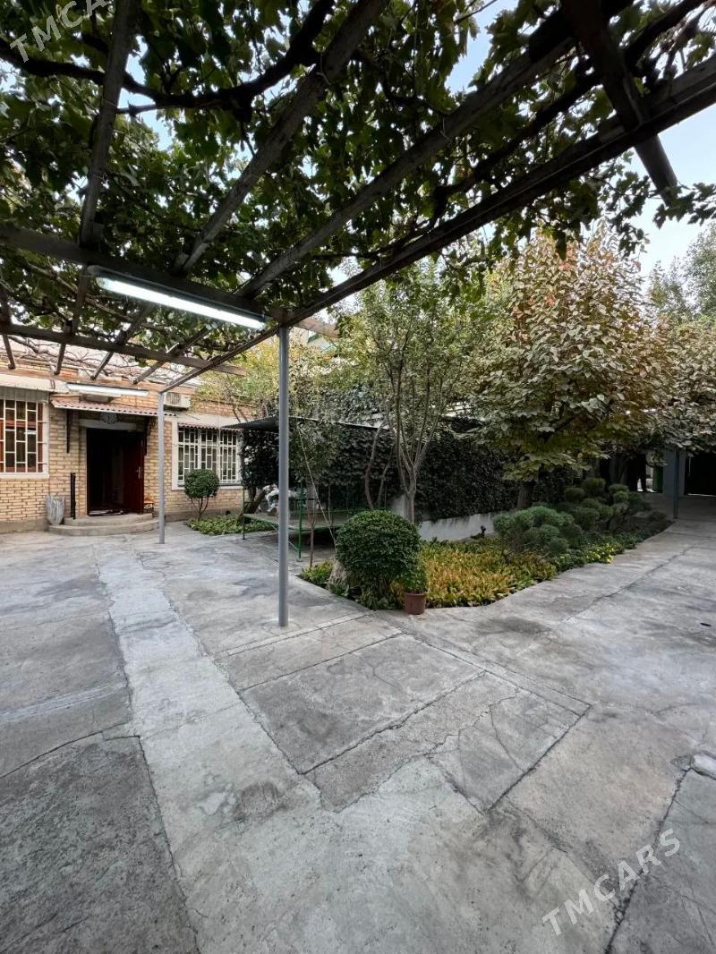 СРОЧНО АК АЛТЫН СОКОЛОВСКАЯ - Aşgabat - img 1