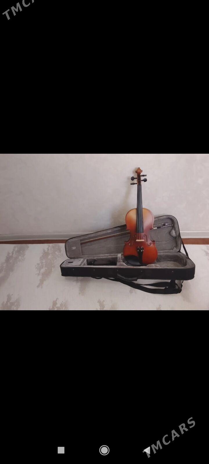 Skripka - Хазар - img 3