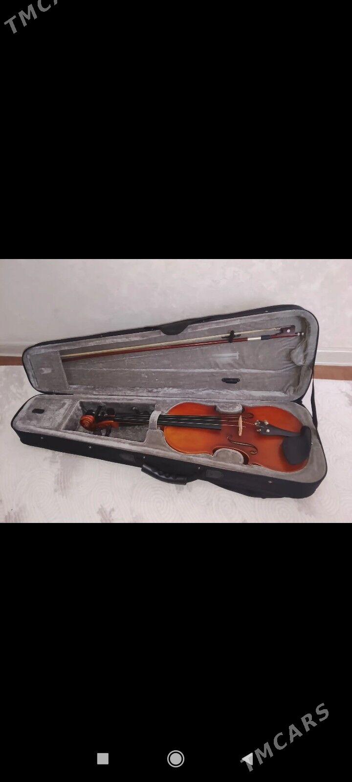 Skripka - Хазар - img 2