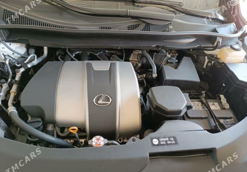 Lexus RX 350 2022 - 660 000 TMT - Mary - img 8